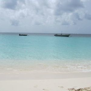 Meet your Posher, Tasha